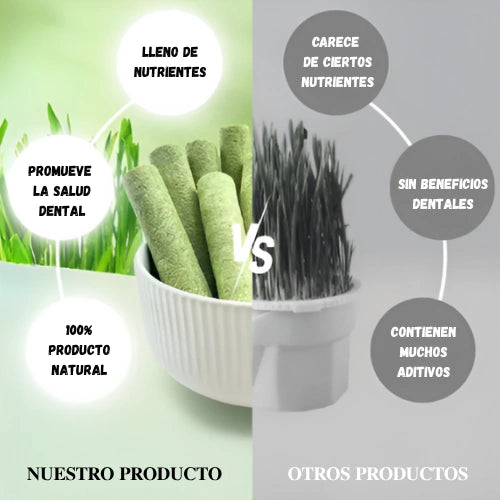 Snacks de Dentición de Hierba Gatera