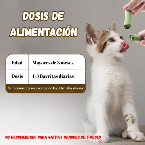 Snacks de Dentición de Hierba Gatera