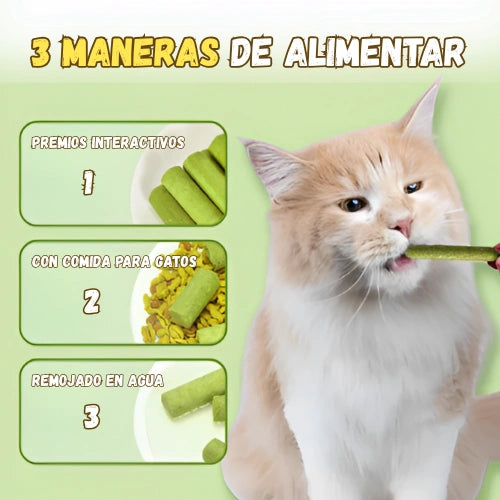 Snacks de Dentición de Hierba Gatera